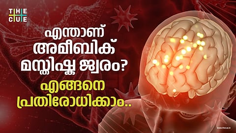 എന്താണ് അമീബിക് മസ്തിഷ്ക ജ്വരം? എങ്ങനെ പ്രതിരോധിക്കാം..