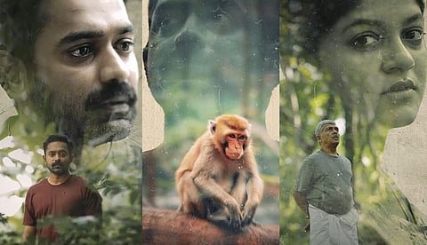 'വാനരലോകത്തേക്ക് സ്വാഗതം'; 'കിഷ്കിന്ധാ കാണ്ഡത്തി'ലെ ആദ്യഗാനത്തിന്റെ ലിറിക്കല് വീഡിയോ പുറത്ത്