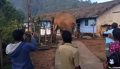 വന്യജീവികളുടെ ജനിതകമാറ്റവും പ്രാധാന്യമേറുന്ന വനംവകുപ്പും