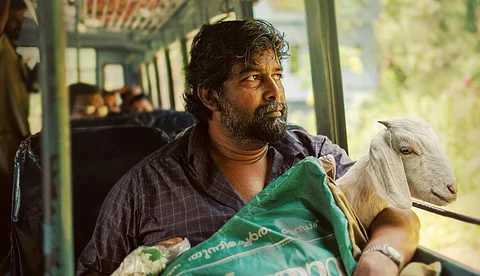 ജോജുവും ലിജോമോളും പ്രധാന വേഷങ്ങളിലെത്തുന്ന 'അജ:സുന്ദരി'; നിർമ്മാണം, ഛായാഗ്രഹണം ആഷിഖ് അബു