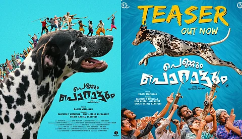 'നായകന്' ശബ്ദമായി ടൊവിനോ; കൗതുകം നിറച്ച് 'പെണ്ണും പൊറാട്ടും' ടീസർ