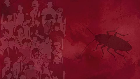 We are all cockroaches now: A weekly round-up on Constitution First