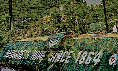 In Margaret’s Hope, the story of Darjeeling’s hidden violence is one that cannot be told