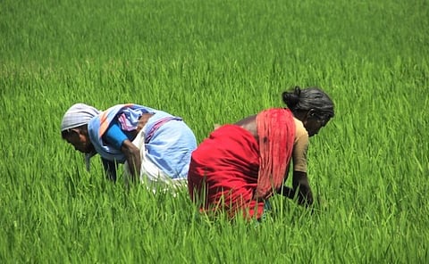A Nation for Farmers : Part I