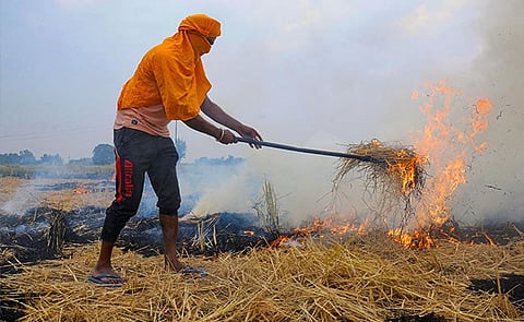 Photo Source: NDTV.
