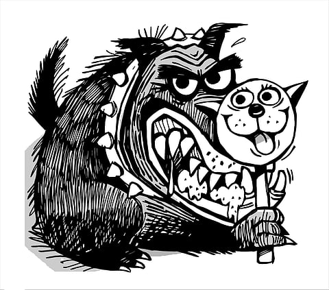 ‘DOG FIGHTS’