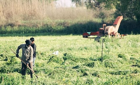 Micro-Insurance: A lifeline for the poor