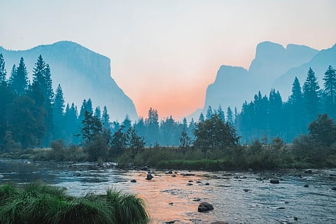 Countries across the world are conferring legal personhood to nature. Where does India stand?