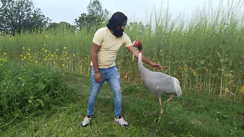 आरिफ अपने दोस्त सारस के साथ