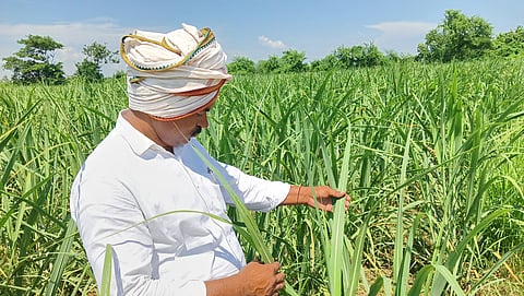 किसान कुलदीप चौधरी, गन्ने के भुगतान में देरी की वजह से अब कम रकबे में गन्ने की खेती करने के लिए मजबूर हैं।