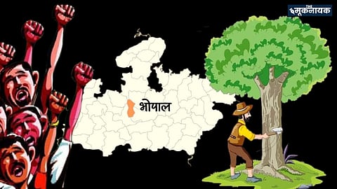 सांकेतिक चित्र.