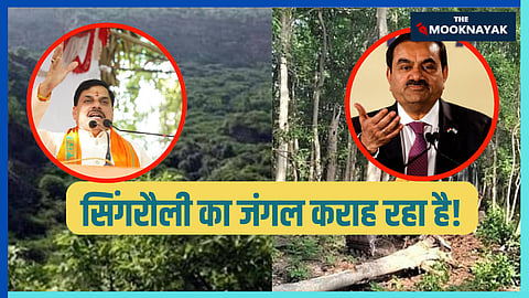 सिंगरौली का जंगल कराह रहा है! छह लाख पेड़ों की कटाई ने MP विधानसभा में मचाई खलबली, जानिए इतिहास और क्या होगा असर?