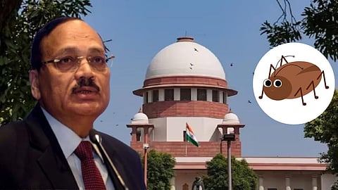 CJI Surya Kant