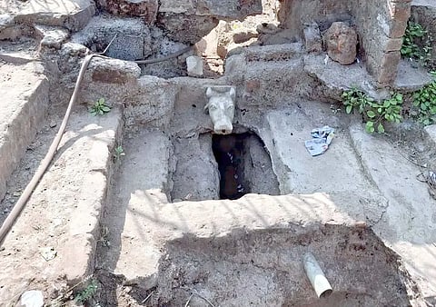 बेतवा नदी का सूख गया उद्गम स्थल
