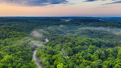Forest Rights Act 2006