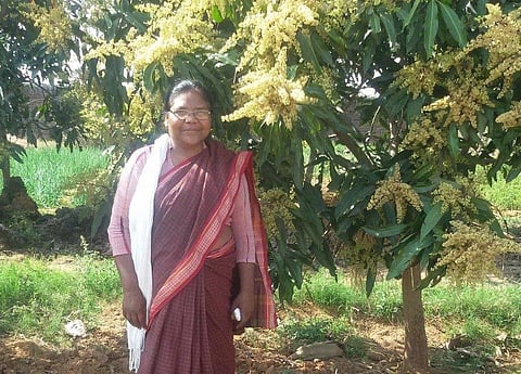 Dayamani Barla