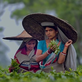 Governments have provided Baganis with medicines, isolation wards, and labor wards when companies haven't even been able to provide workers with maternity benefits.