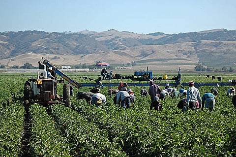 Out of 11,290 deaths by suicide last year, 53 percent were agricultural laborers.