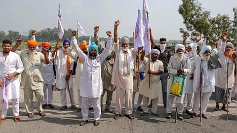 BJP Slams Punjab Govt for Paddy Procurement Failure