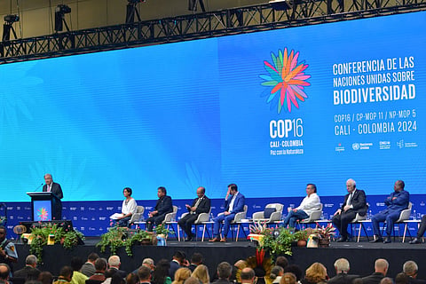 World Leaders Unite to Save Nature at COP16