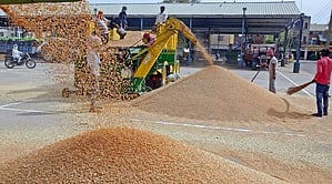 Fertilizer Shortage Sparks Protests in Madhya Pradesh