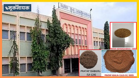 MPUAT scores a hat-trick with three medicinal crop varieties—Pratap Ashwagandha-1, Pratap Isabgol-1, and Pratap Asalia-1—notified.