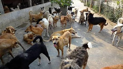 Representational Image