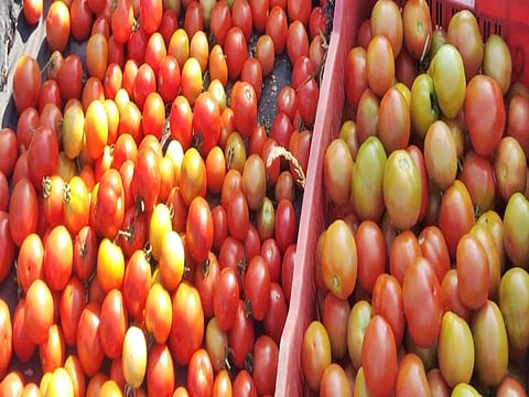 In Kurnool, onion is being sold for Rs 3 per kg and tomato for Rs 1.50 per kg.
