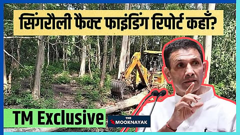 TM Exclusive: Where is the Congress Fact-Finding Report on Tree Felling in Singrauli? Why Has the Party Gone Silent?