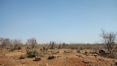 Experts warn that if groundwater depletion continues at the current pace, agriculture in the region could face severe consequences in the coming years, and parts of the farmland may eventually turn barren.