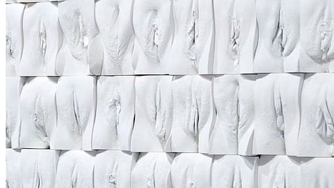 The Great Wall Vulva’ mural exhibition by the British artist Jamie McCartney