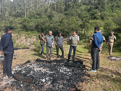 Officials investigating tiger deaths in Nilgiris