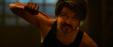 Vijay in Leo