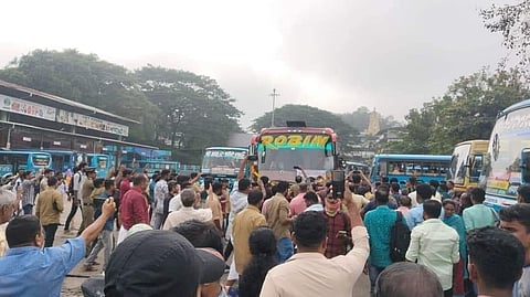 Robin Bus