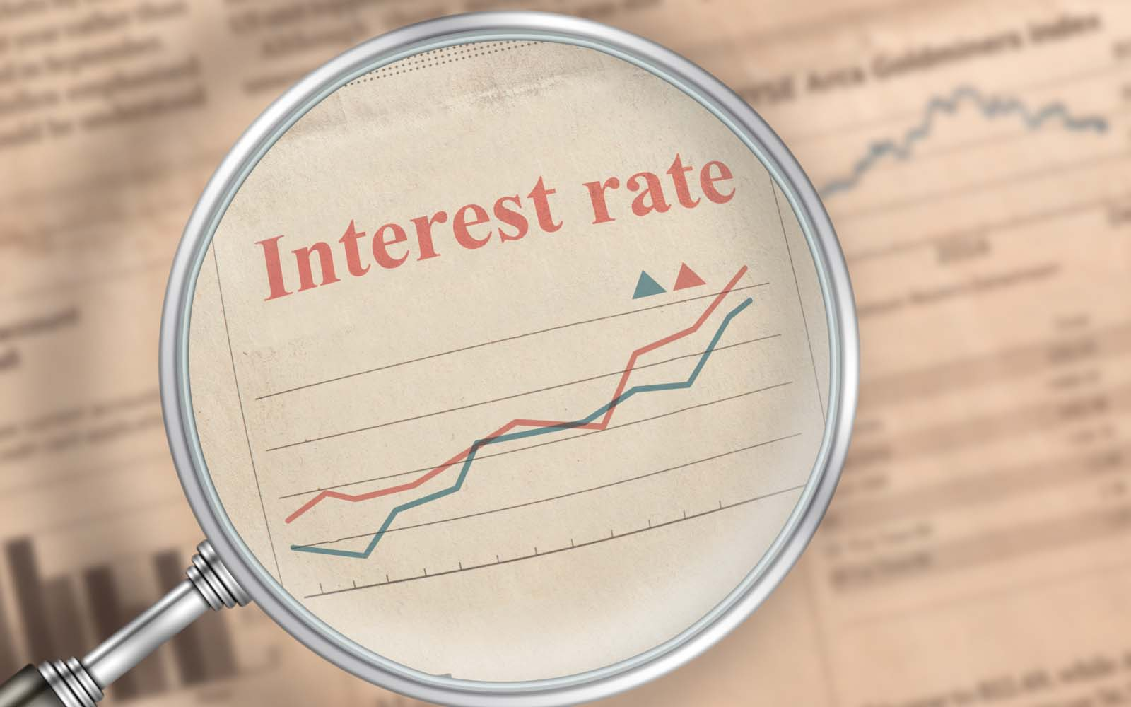 Get One of The Highest Savings Account Interest Rates in India with Kotak811