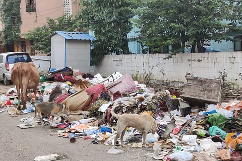 Garbage disposed in Chennai's Korattur.