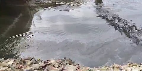 Oil spill flowing from Manali in Chennai