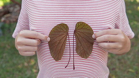Kidney health in children: Avoid these common misconceptions