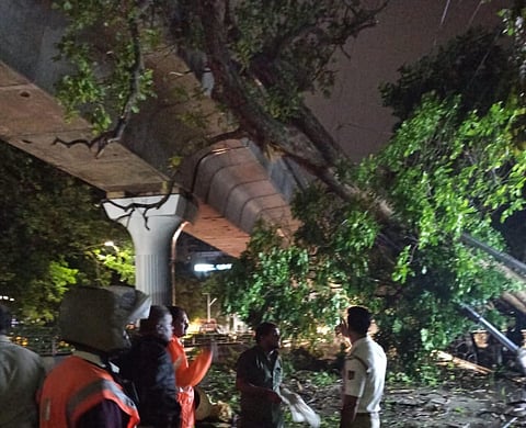 Tree fallen on metro track