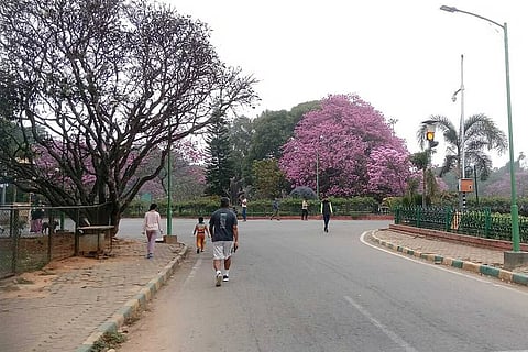 Cubbon park, Bengaluru