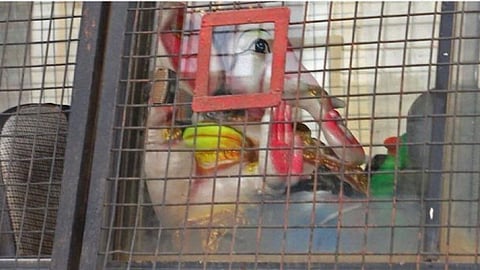 Controversy erupts in Bengaluru over Ganesha idol in police van: What really happened?