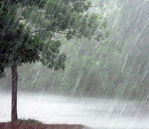 TN's power consumption drops by one-fifth with advent of northeast monsoon