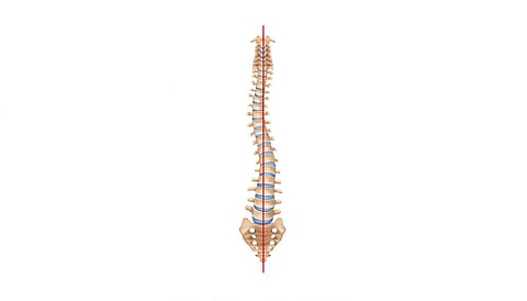 Correcting Curves: Insights into Spinal Deformity Treatment