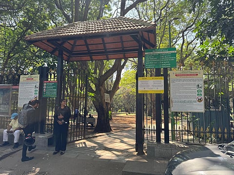 Cubbon park