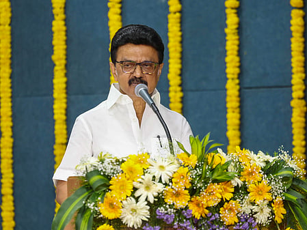 CM Stalin to lay foundation stone for Rs 1,800 cr Adyar river restoration project in September