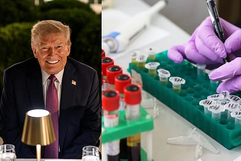 Indian woman moves US court against H-1B fee hike, says it'll disrupt her postdoc research