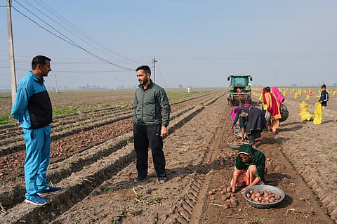 An AI-operated driverless tractor is used to harvest potatoes at a farm near Karnal, India, on Feb. 10, 2026.