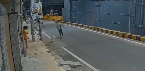Pet dog bites teen who harassed woman sitting outside home during power cut