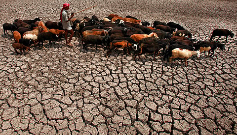 AP Photo/Mahesh Kumar A