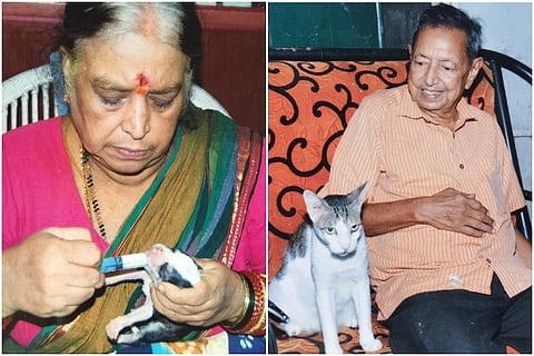 Elderly couple mortgage their house to protect Chennai's stray animals, you can help them